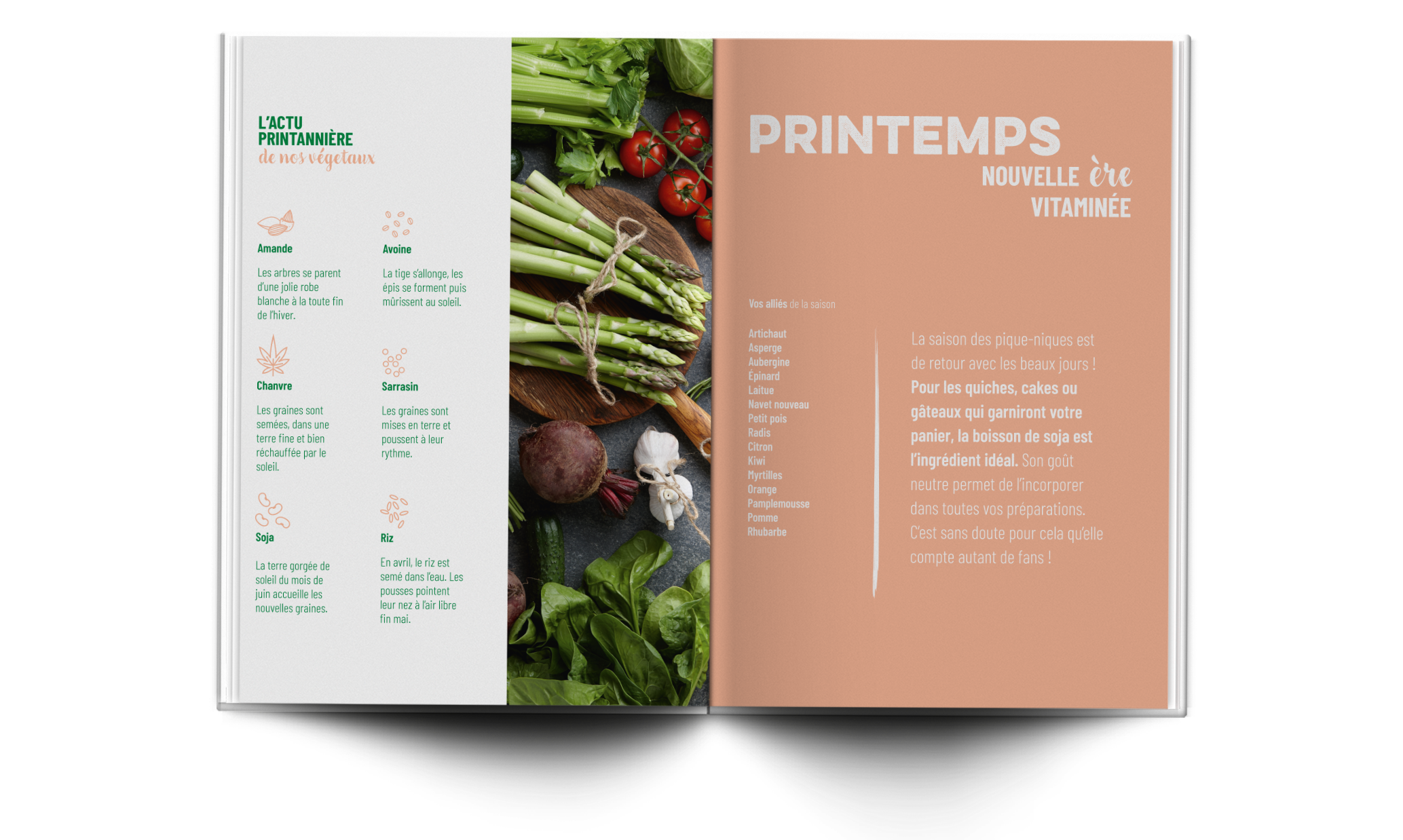 gourmandes-mise-en-page